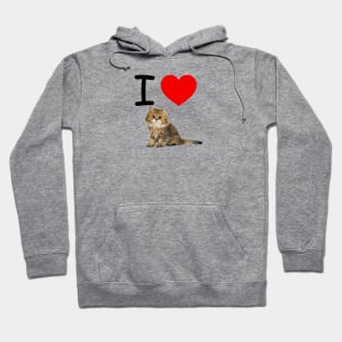 I HEART CUTE FLUFFY KITTEN Hoodie